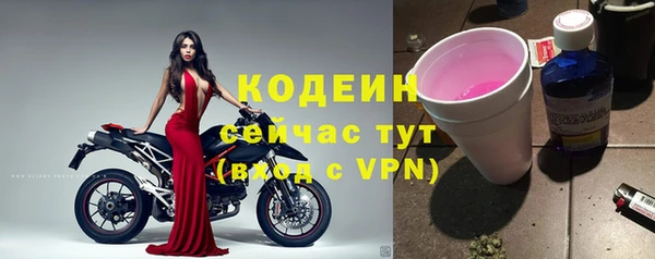 мяу мяу мука Горно-Алтайск