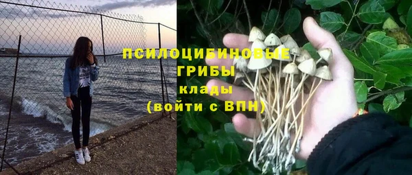 Альфа ПВП Алзамай