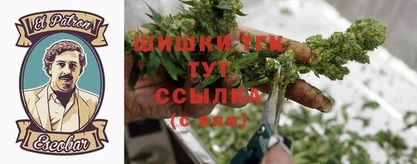 эйфоретик Гусь-Хрустальный