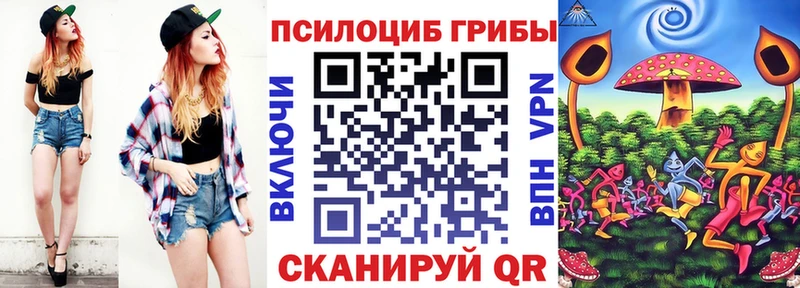 Псилоцибиновые грибы Magic Shrooms  omg зеркало  Димитровград  где купить наркоту 